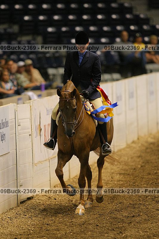 Proof 09buck-2369
