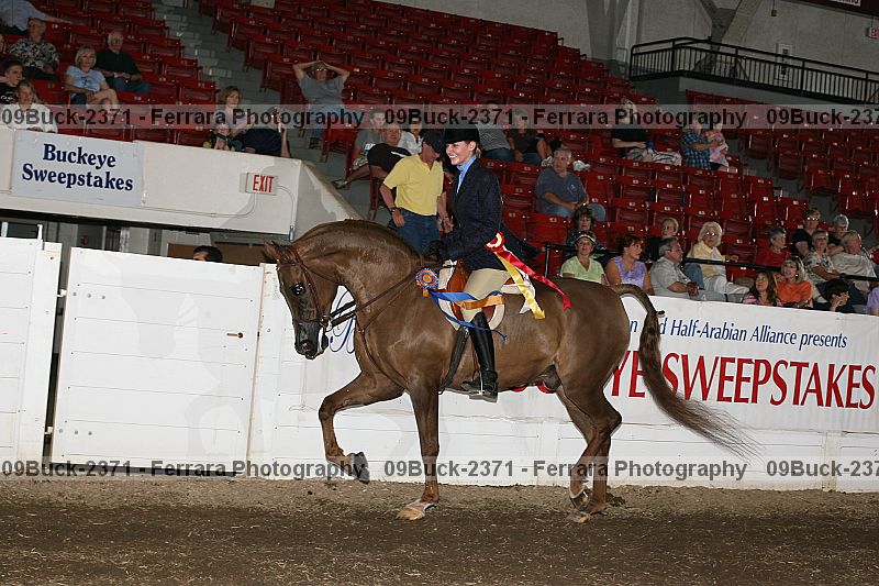 Proof 09buck-2371