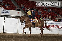 09buck-2371 proof