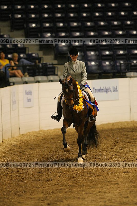 Proof 09buck-2372