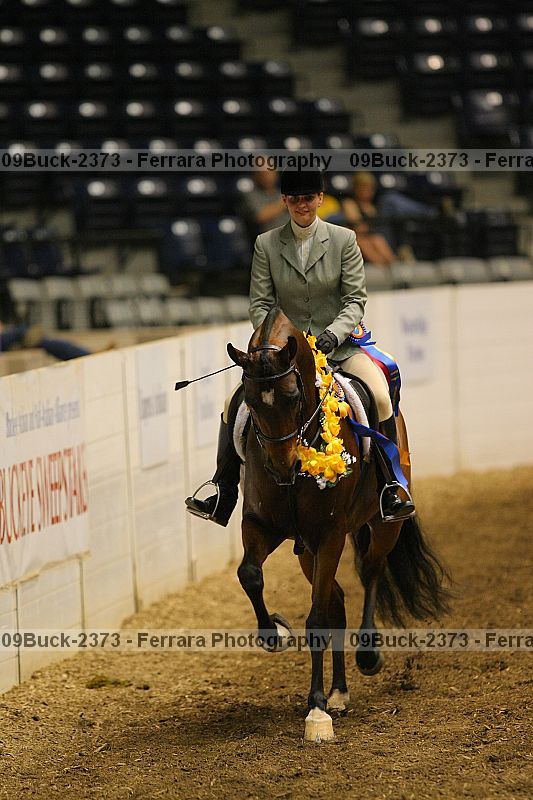 Proof 09buck-2373
