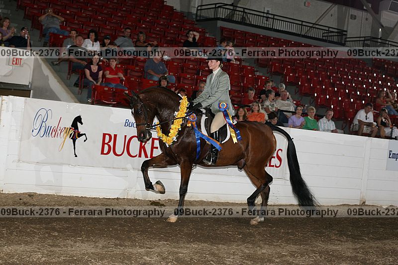 Proof 09buck-2376