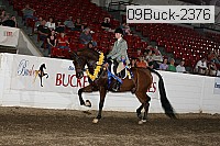 09buck-2376 proof