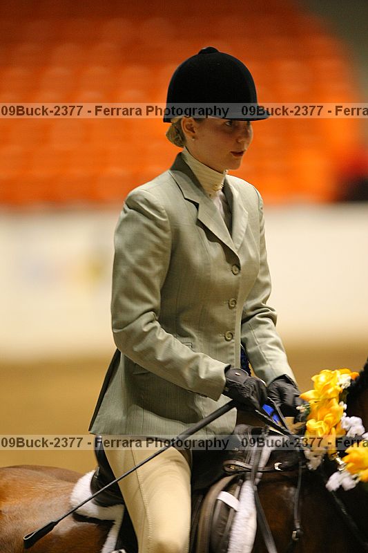 Proof 09buck-2377