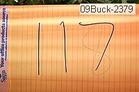 09buck-2379 proof
