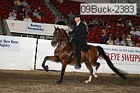 09buck-2383 proof