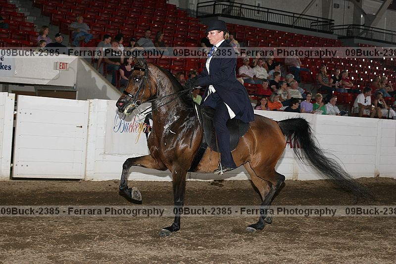 Proof 09buck-2385