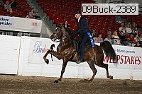 09buck-2389 proof