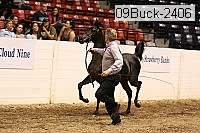 09buck-2406 proof