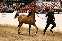 09buck-2425 proof
