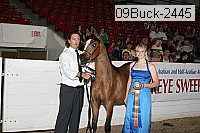 09buck-2445 proof