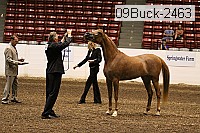 09buck-2463 proof