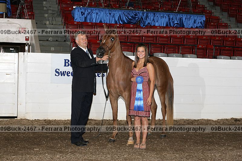 Proof 09buck-2467