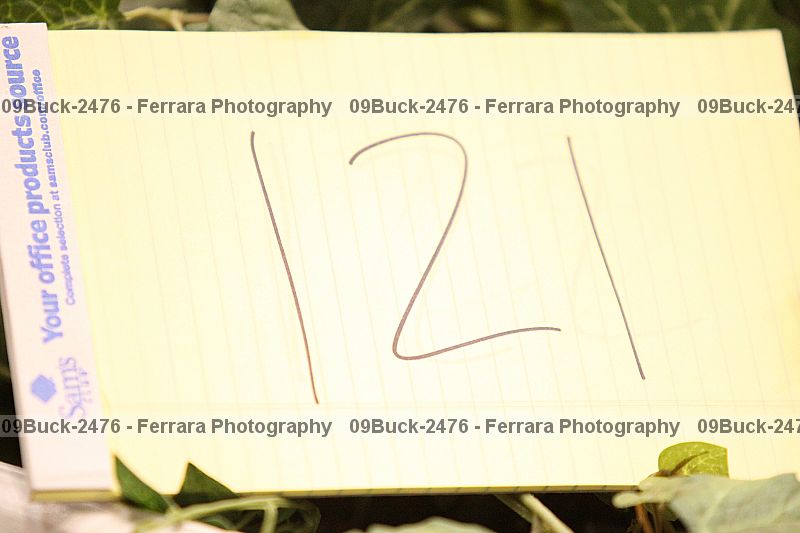 Proof 09buck-2476