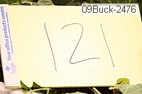 09buck-2476 proof