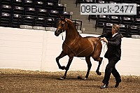09buck-2477 proof