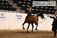09buck-2478 proof