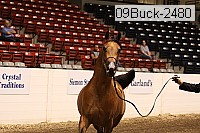 09buck-2480 proof