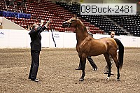 09buck-2481 proof