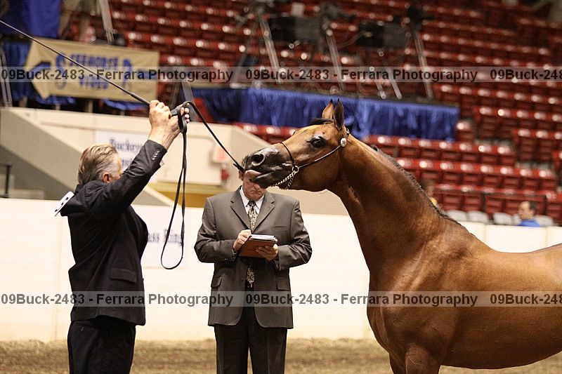 Proof 09buck-2483