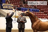 09buck-2483 proof