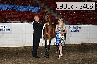 09buck-2486 proof