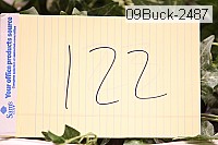 09buck-2487 proof