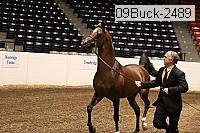 09buck-2489 proof