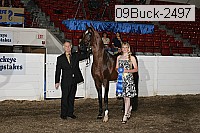 09buck-2497 proof