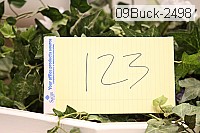 09buck-2498 proof