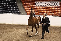 09buck-2500 proof