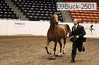 09buck-2501 proof