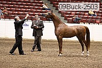 09buck-2503 proof