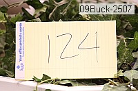 09buck-2507 proof