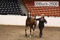 09buck-2508 proof