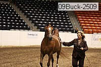 09buck-2509 proof