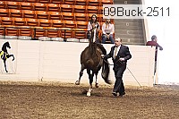 09buck-2511 proof