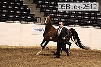 09buck-2512 proof