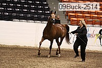 09buck-2514 proof