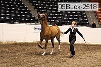 09buck-2518 proof