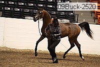 09buck-2520 proof