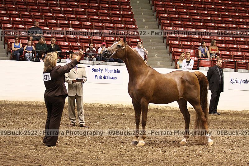 Proof 09buck-2522