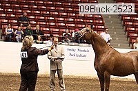 09buck-2523 proof