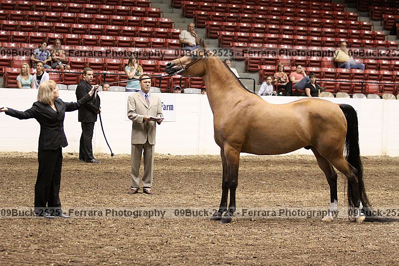 Proof 09buck-2525