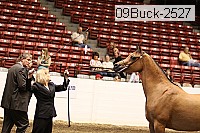 09buck-2527 proof