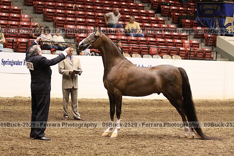 Proof 09buck-2529