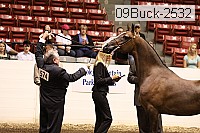 09buck-2532 proof