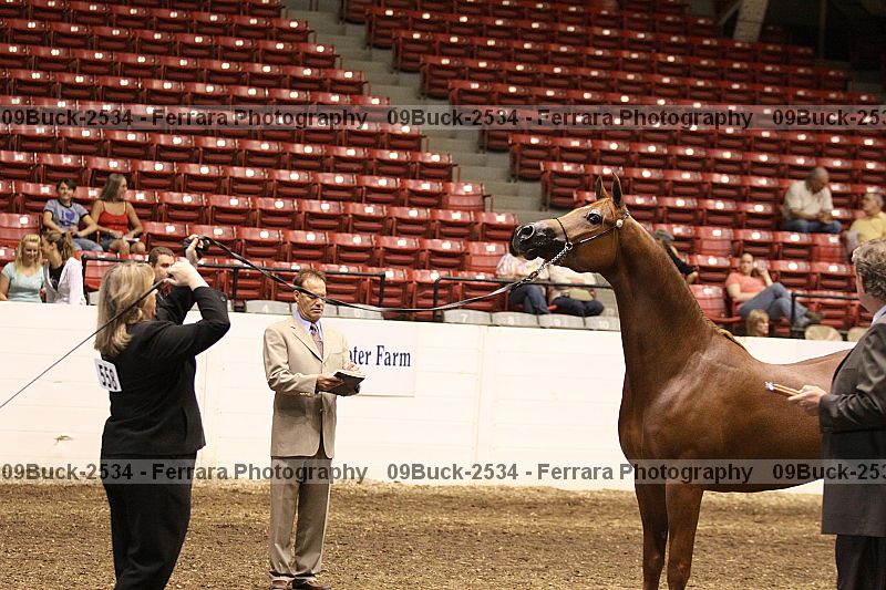Proof 09buck-2534