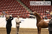 09buck-2534 proof