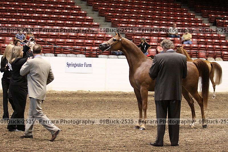 Proof 09buck-2535